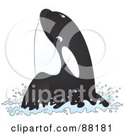 Poster, Art Print Of Cute Orca Splashing Out Of Water