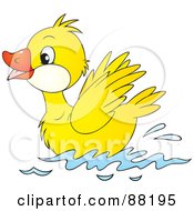 Cute Yellow Duckling Swimming On Water