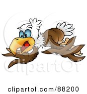 Poster, Art Print Of Bald Eagle Flapping His Wings