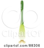 Royalty Free RF Clipart Illustration Of A Shiny Green Scallion Stalk by Tonis Pan