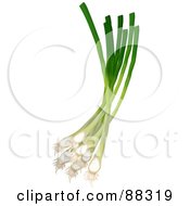 Poster, Art Print Of Bunch Of Green Scallion Onions
