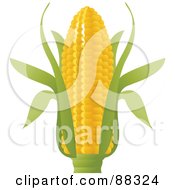 Royalty Free RF Clipart Illustration Of A Shiny Ear Of Corn