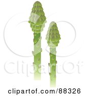 Royalty Free RF Clipart Illustration Of Two Green Asparagus Stalks