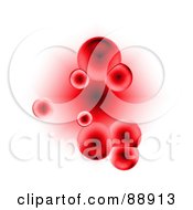 Poster, Art Print Of Red Blood Cells Over White