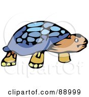 Poster, Art Print Of Old Tortoise With A Blue Shell