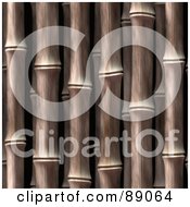Thick Bamboo Stalk Background