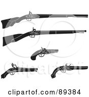 Poster, Art Print Of Digital Collage Of Black And White Rifles And Pistils