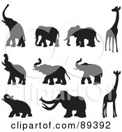 Poster, Art Print Of Digital Collage Of Elephant Mammoth And Giraffe Silhouettes