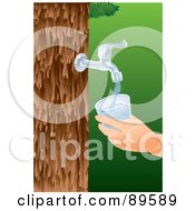 Faucet Pouring Water From A Tree Into A Glass