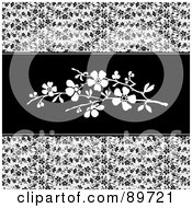 Poster, Art Print Of Background Of Black Vines And White Blossoms In The Center