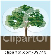 Poster, Art Print Of Mature Tree On Brown Earth Against A Blue Sky