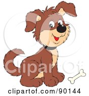 Poster, Art Print Of Cute Puppy Dog With A Bone At His Feet