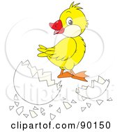 Poster, Art Print Of Yellow Duckling By A Cracked Egg