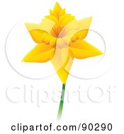 Royalty Free RF Clipart Illustration Of A Beautiful Daffodil Flower