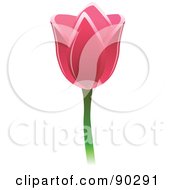 Royalty Free RF Clipart Illustration Of A Beautiful Pink Spring Tulip Flower by Tonis Pan