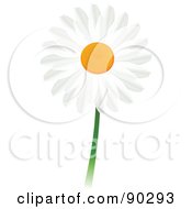 Poster, Art Print Of Beautiful White Daisy Flower