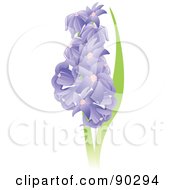 Royalty Free RF Clipart Illustration Of A Beautiful Purple Hyacinth Flowers by Tonis Pan