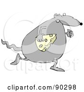 Fat Gray Rat Running With A Slice Of Cheese