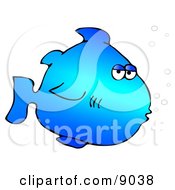 Blue Marine Fish With Bubbles