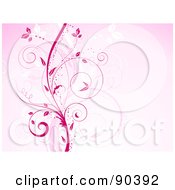 Poster, Art Print Of Background Of Pink And Leafy Vines On Pink