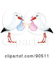 Digital Collage Of White And Black Storks Carrying A Bundled Baby Girl And Boy