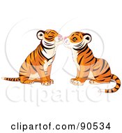Cute Tiger Pair Smooching