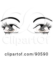 Womans Brown Eyes Dressed Up With Dark Eyelashes And Eyebrows