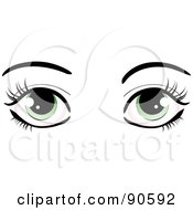 Womans Green Eyes Dressed Up With Dark Eyelashes And Eyebrows
