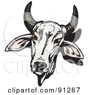 Poster, Art Print Of White Horned Brahman Cow Head