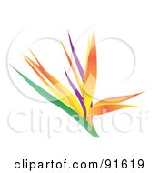 Royalty Free RF Clipart Illustration Of A Beautiful Bird Of Paradise Flower Over White by Arena Creative