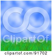 Poster, Art Print Of Background Of Green Grass Against A Blurry Sky