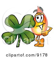 Flame Mascot Cartoon Character With A Green Four Leaf Clover On St Paddys Or St Patricks Day