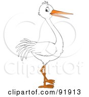 Happy White Stork In Profile