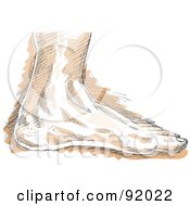 Poster, Art Print Of Sketched Left Human Foot