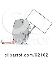 Poster, Art Print Of Gray Rat Holding A Blank Sign
