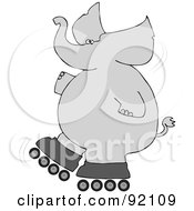 Gray Elephant Falling While Roller Skating