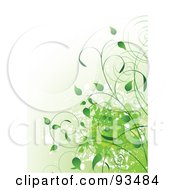 Poster, Art Print Of Background Of Green Organic Vines With Splatters Over White