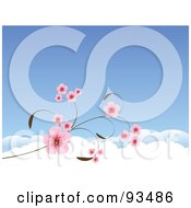 Poster, Art Print Of Background Of Pink Cherry Blossoms Against A Blue Sky With Clouds