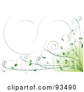 Royalty Free RF Clipart Illustration Of A Background Of Green Organic Vines In The Bottom Right Corner On White