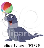 Cute And Entertaining Sea Lion Balancing A Colorful Beach Ball On His Nose