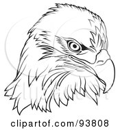 Poster, Art Print Of Black And White Bald Eagle Head