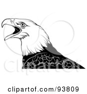 Poster, Art Print Of Black And White Bald Eagle Squaking