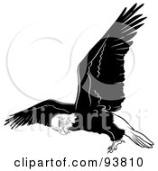 Poster, Art Print Of Black And White Bald Eagle In Flight - 4