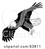 Poster, Art Print Of Black And White Bald Eagle In Flight - 5