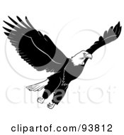 Poster, Art Print Of Black And White Bald Eagle In Flight - 2