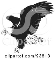 Poster, Art Print Of Black And White Bald Eagle In Flight - 1