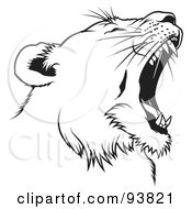 Poster, Art Print Of Black And White Roaring Female Lion Head - 2