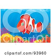 Royalty Free RF Clipart Illustration Of A Red Clownfish Over A Coral Reef In The Sea by Alex Bannykh