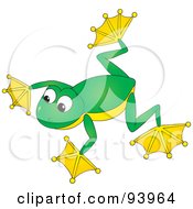 Poster, Art Print Of Cute Green And Yellow Tree Frog