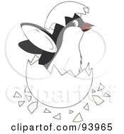 Poster, Art Print Of Cute Penguin Chick Hatching From An Egg